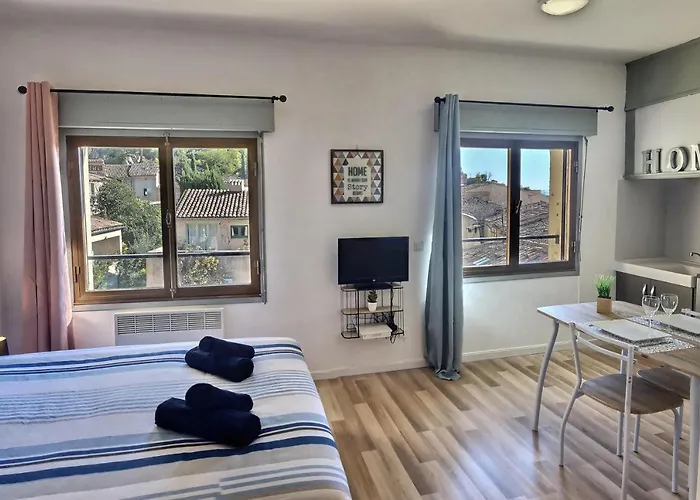 Studio Vue Sur Les Toits, Lumineux Moustiers #2